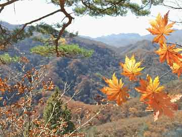 王中王100℅期期准澳彩,王中王彩票预测，期期准澳彩的奥秘与真相