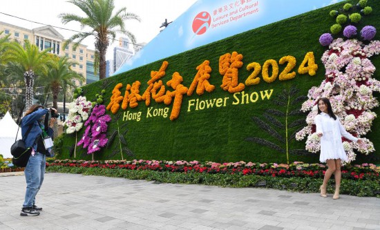 2024年香港开奖结果,揭秘未来之彩，2024年香港开奖结果展望