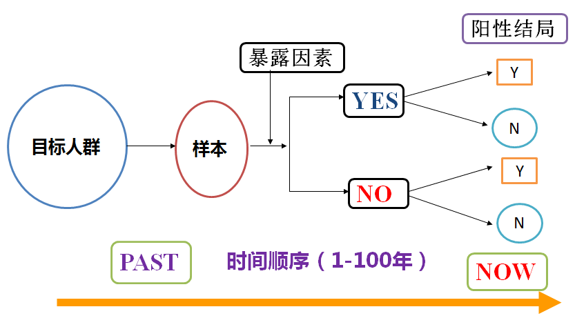 2025年1月20日 第28页