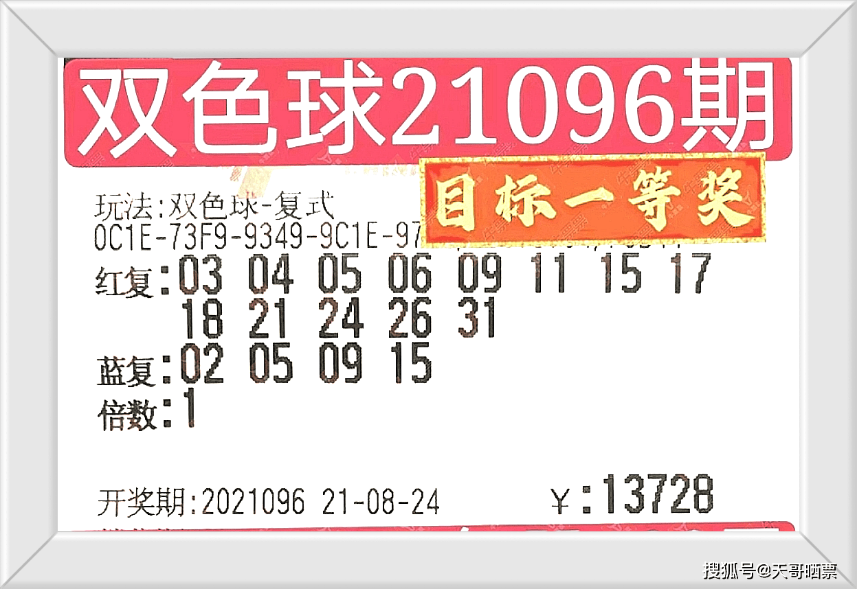 今晚澳门特马开的什么号码2025,今晚澳门特马开出的神秘号码，探索未来的幸运之门（2025年XX月XX日）