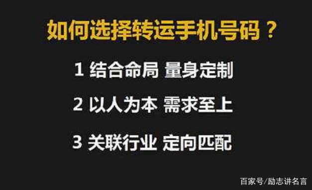 777778888精准跑狗,精准跑狗，探寻数字背后的故事——77777与8888的魅力之旅